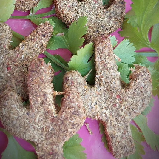 Cilantro and Carrot Cactus Cookies - For Rabbits, Guinea Pigs, Hamsters, and other small animals such as mice and rats.